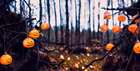 Samhain - Why this Ancient Tradition is having an International Moment