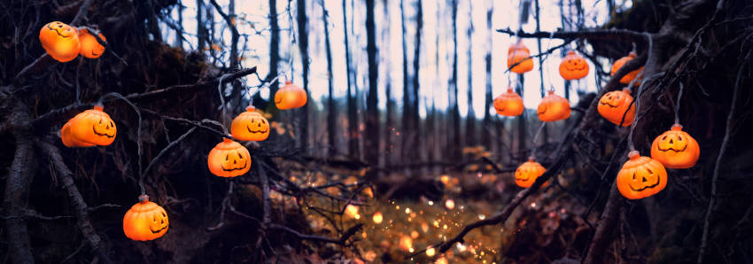 Jack O'Lanterns