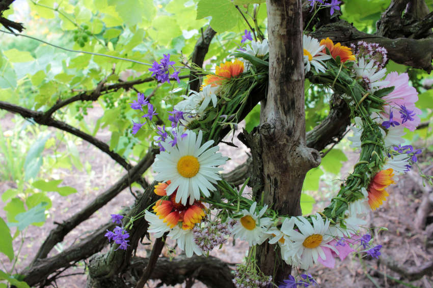 mid-summer wildflower wreath